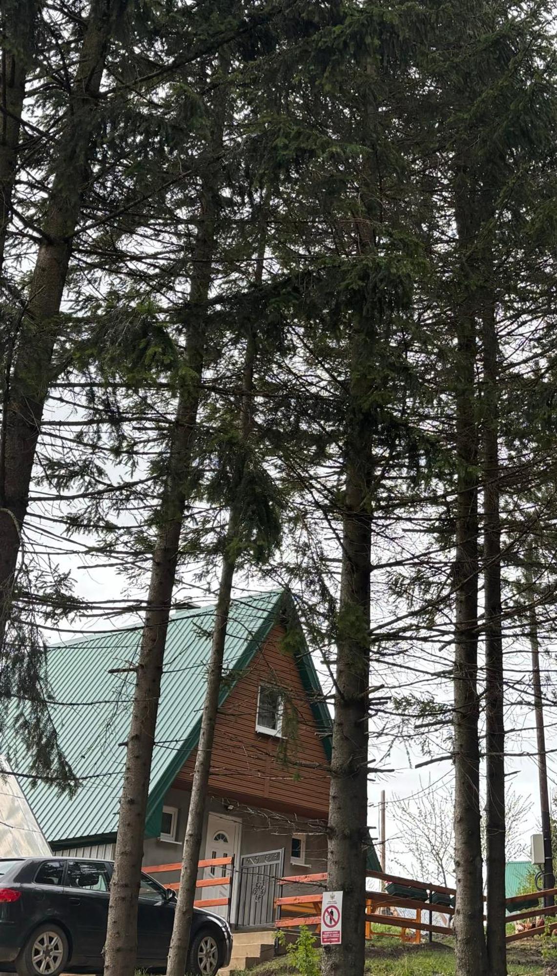 Holiday Home ,,Lazar" Žabljak Exteriér fotografie