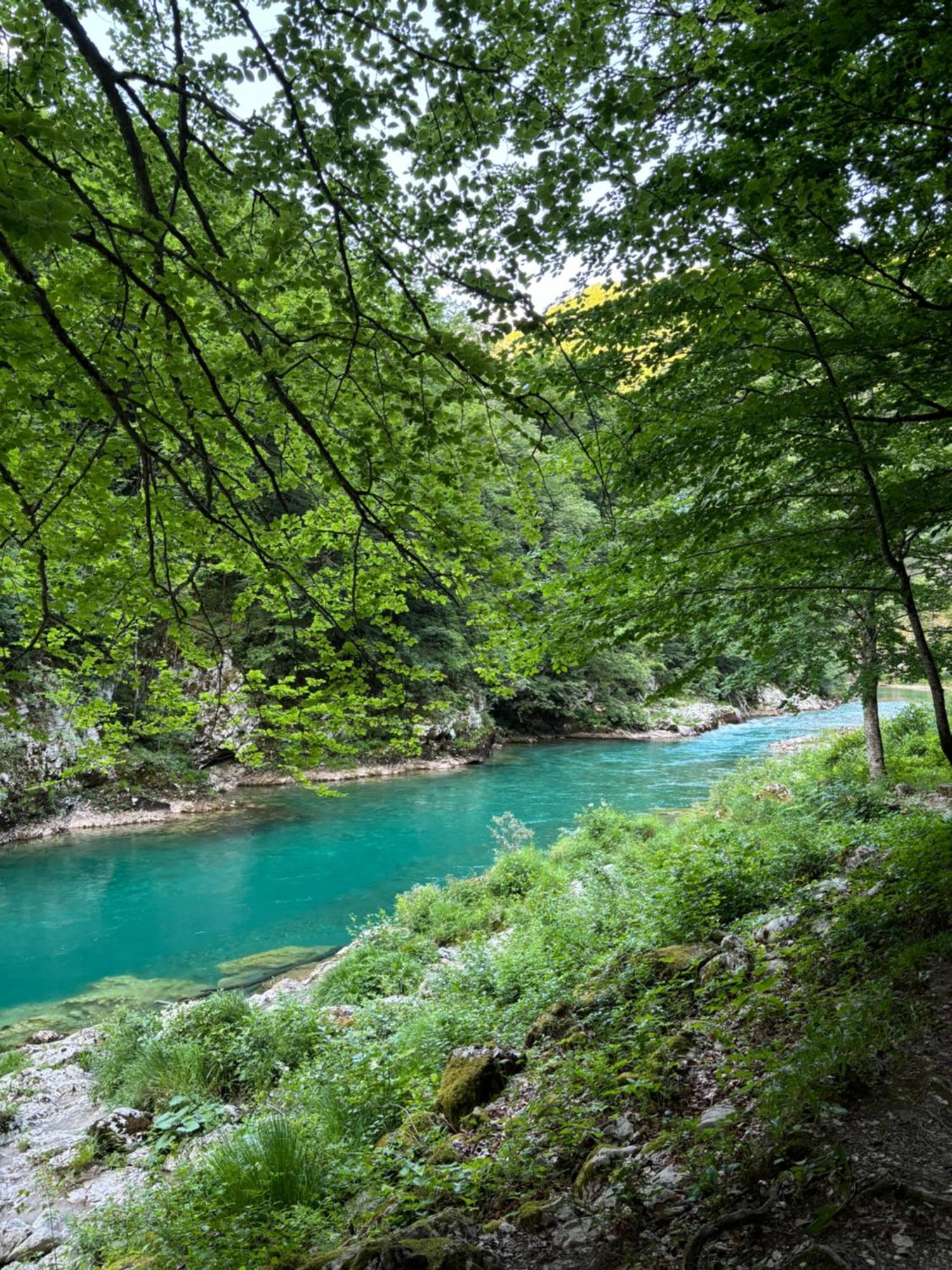 Holiday Home ,,Lazar" Žabljak Exteriér fotografie