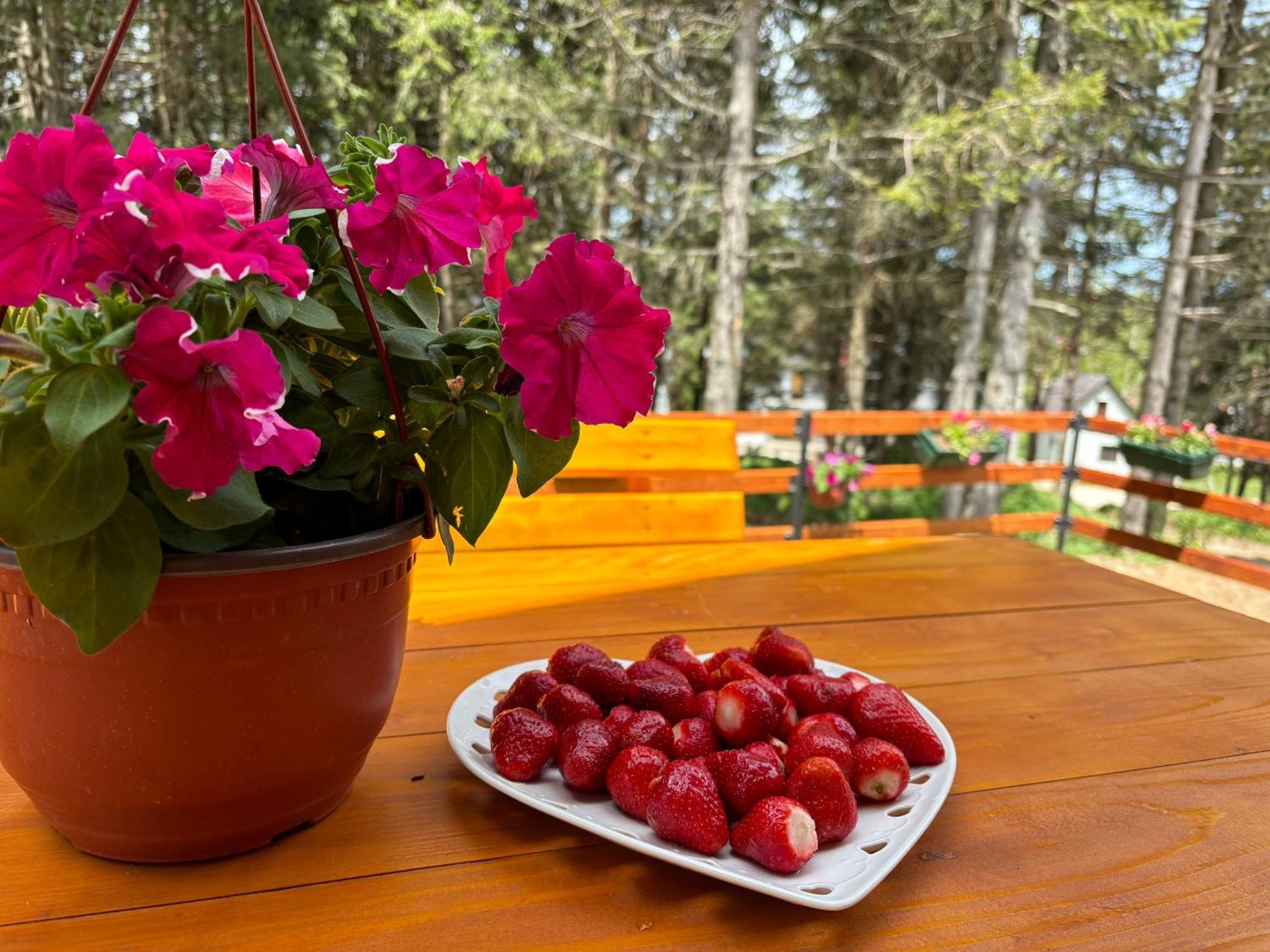 Holiday Home ,,Lazar" Žabljak Exteriér fotografie